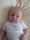 Thumbs/tn_Dsc01433.jpg