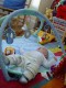 Thumbs/tn_Dsc01446.jpg