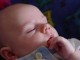 Thumbs/tn_Dsc01462.jpg