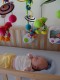 Thumbs/tn_Dsc01470.jpg