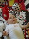Thumbs/tn_Dsc01504.jpg
