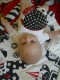 Thumbs/tn_Dsc01507.jpg