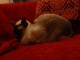 Thumbs/tn_Dsc01526.jpg