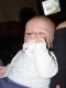 Thumbs/tn_Dsc01533.jpg