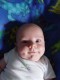 Thumbs/tn_Dsc01551.jpg