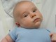 Thumbs/tn_Dsc01599.jpg